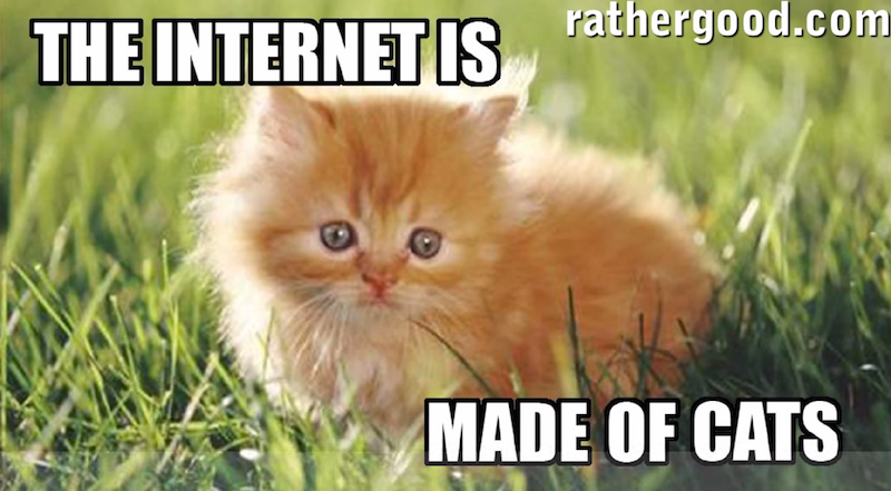 Illustration for article titled Why Cats Rule the Internet Instead of Dogs